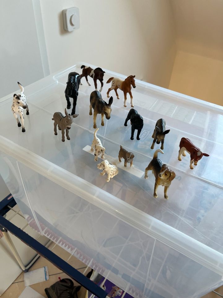 Original Schleich Tiere 13 Stück in Berlin