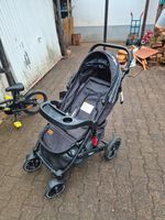 Daliya Rapidy Buggy Kinderwagen 0-36 Monate Liegeposition Neuwert Rheinland-Pfalz - Lambsheim Vorschau