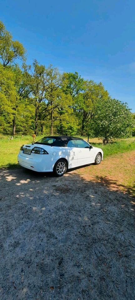 Saab 9-3 cabrio in Nordhorn