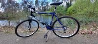 Trekkingbike/Crossbike, Herren Ideal, 28 Zoll, RH 52 Hessen - Seeheim-Jugenheim Vorschau