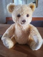 Steiff Teddy 0226/38 stehend 37cm selten Rheinland-Pfalz - Ober-Olm Vorschau