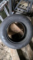 Reifen Allwetterreifen Sommerreifen 245/65 R17 111H Pirelli Bayern - Rohr Vorschau