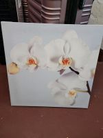 Leinwandbild Orchidee Niedersachsen - Gifhorn Vorschau