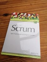 Roman Pichler: Scrum Agiles Projektmanagement erfolgreich... Niedersachsen - Ritterhude Vorschau