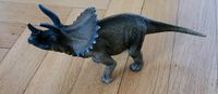 Schleich Dinosaurier Trizeratops Sachsen - Arnsdorf Vorschau