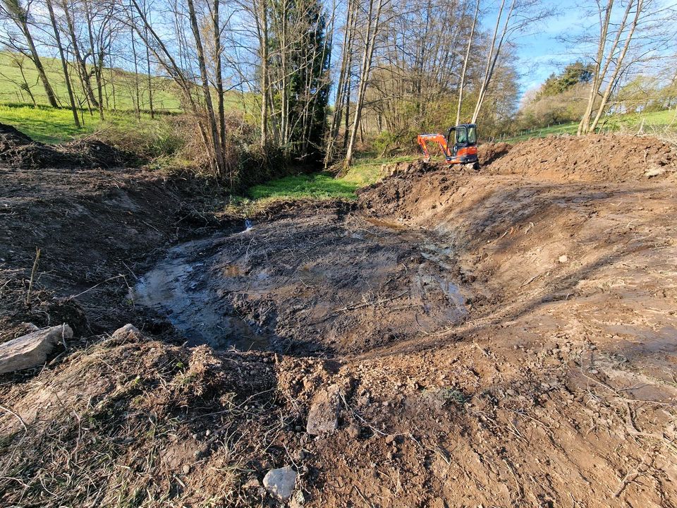 Garten- und Landschaftsbau/Erdbau/Rodung/Zaunbau in Thalfang