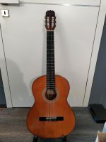 Gitarre mit passender Tasche Rheinland-Pfalz - Ferschweiler Vorschau