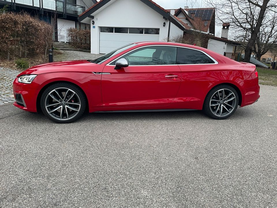 Audi S5 3.0 TFSI quattro ACC B&O Vollleder Matrix LED Nav in Haag a.d.Amper