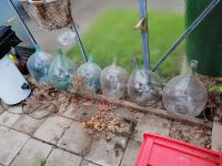 verschiedene Weinballons in verschiedenen Größen Sachsen-Anhalt - Ilsenburg (Harz) Vorschau