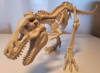 T-Rex Skelett ca 50 cm Niedersachsen - Oyten Vorschau