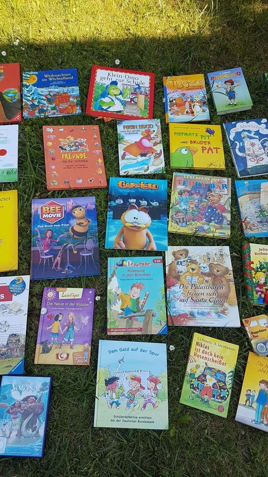 Kinder Bücher Konvolut 35 stück 2 DVD in Osterode am Harz