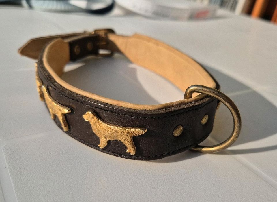 Halsband mit Golden Retriever Besatz braun-gold in Köln