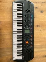 Casio Keyboard  (nur Abholung) Baden-Württemberg - Singen Vorschau