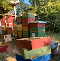 2 Bienenbeuten aus Holzmaterial Hessen - Bad Homburg Vorschau