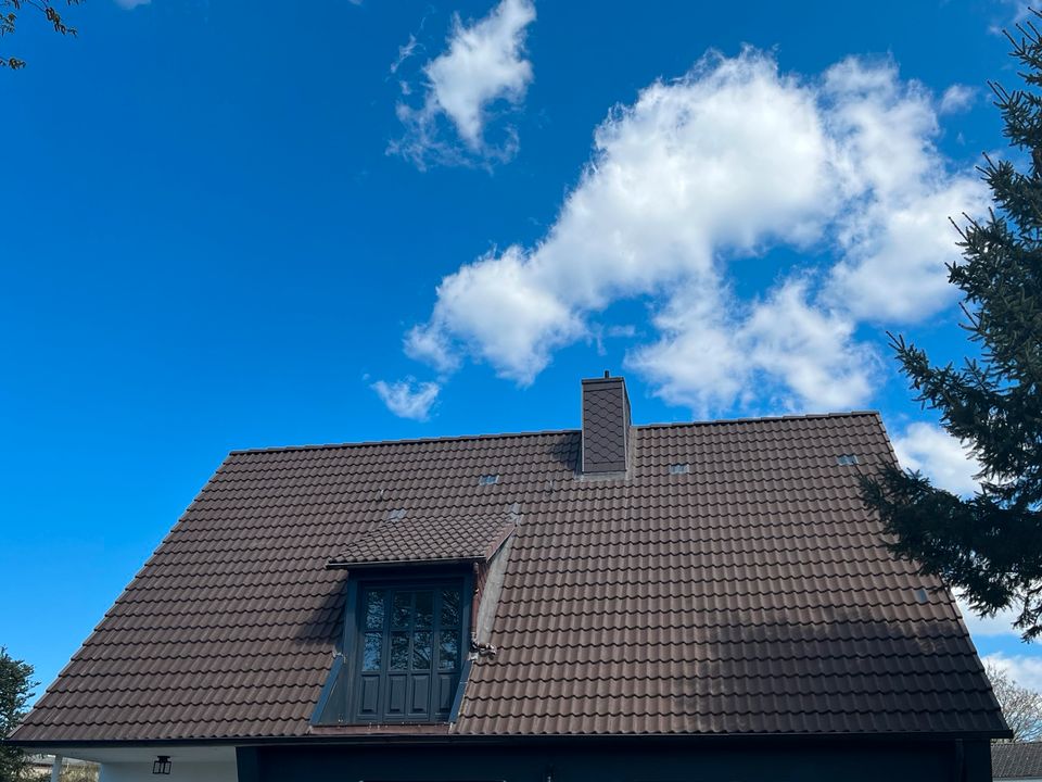 Dachreinigung und Dachbeschichtung Festpreisgarantie in Wacken
