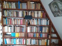 Kleine philosophische Bibliothek, über 300 Bücher Dresden - Niedersedlitz Vorschau