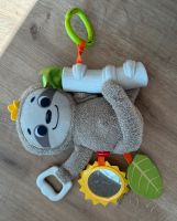 Fisher Price Faultier Buggy Düsseldorf - Oberkassel Vorschau