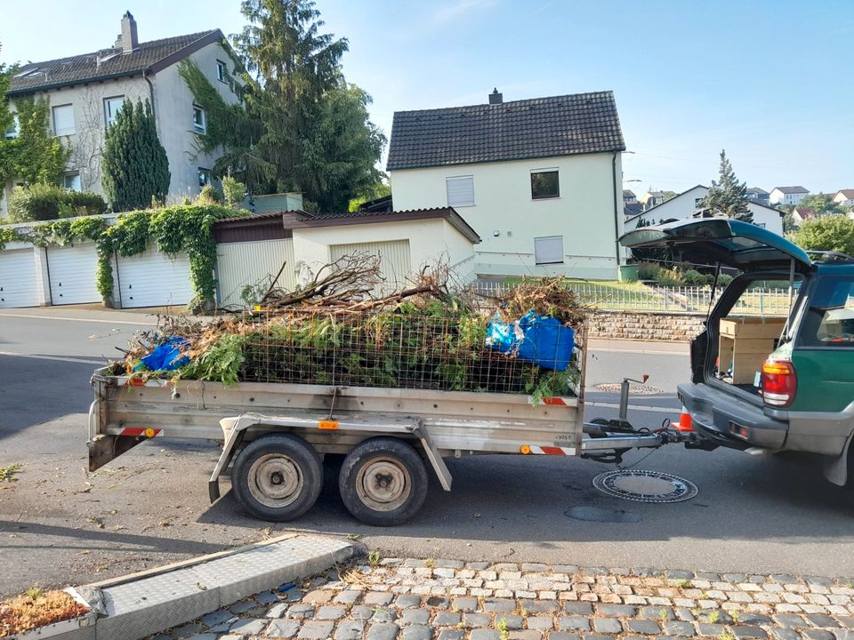 Entsorgung Transport Grüngut Schnittgut Baumschnitt Gartenpflege in Würzburg