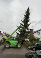 Baumfällung Spezialbaumfällung Baumklettern Baumpflege Rodung Baden-Württemberg - Weil der Stadt Vorschau