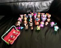 Littlest-Pet-Shop Figuren-Set LPS Spielzeug Katze Hund Tiere bunt Nordrhein-Westfalen - Waltrop Vorschau