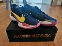 Basketballschuh Nike Zoom Freak 2 NBA Sneaker OVP -Giannis- Rheinland-Pfalz - Kirchen (Sieg) Vorschau