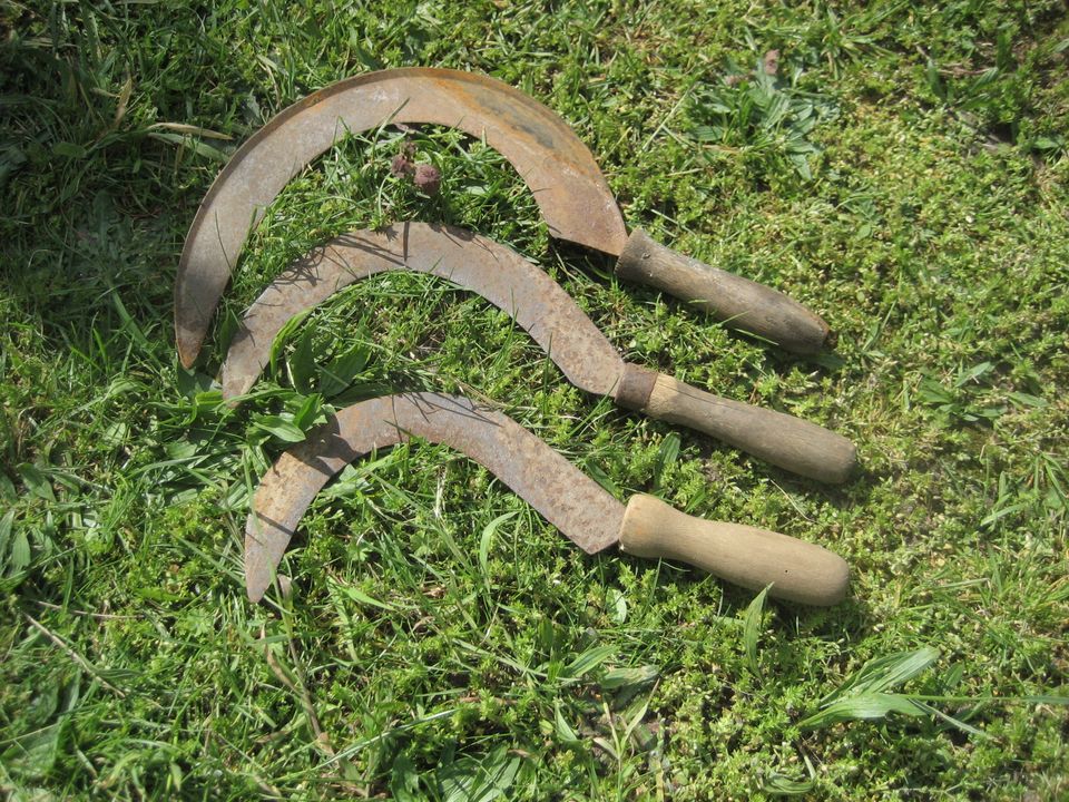 uralte Sichel mit Holzgriff, mehrere vorhanden Antik Vintage in Birkenheide