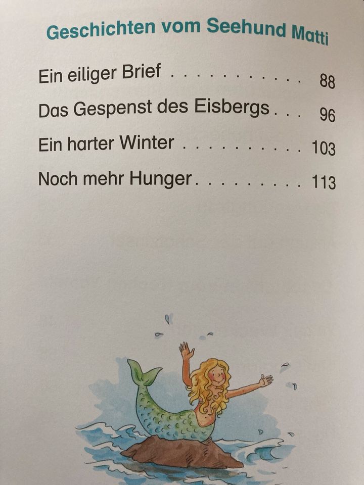 Buch „Jungsgeschichten zum Lesenlernen“ in Deckenpfronn