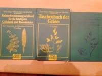 Klapp Taschenbuch der Gräser Gräserbestimmungsschlüssel Kräuterb. Baden-Württemberg - Überlingen Vorschau