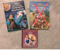Disney Kinderbücher Prinzessin Nordrhein-Westfalen - Steinfurt Vorschau