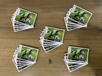 5 x Panini EM 2012 Manuel Neuer Heldentat Coca-Cola Sondersticker Bayern - Fürth Vorschau