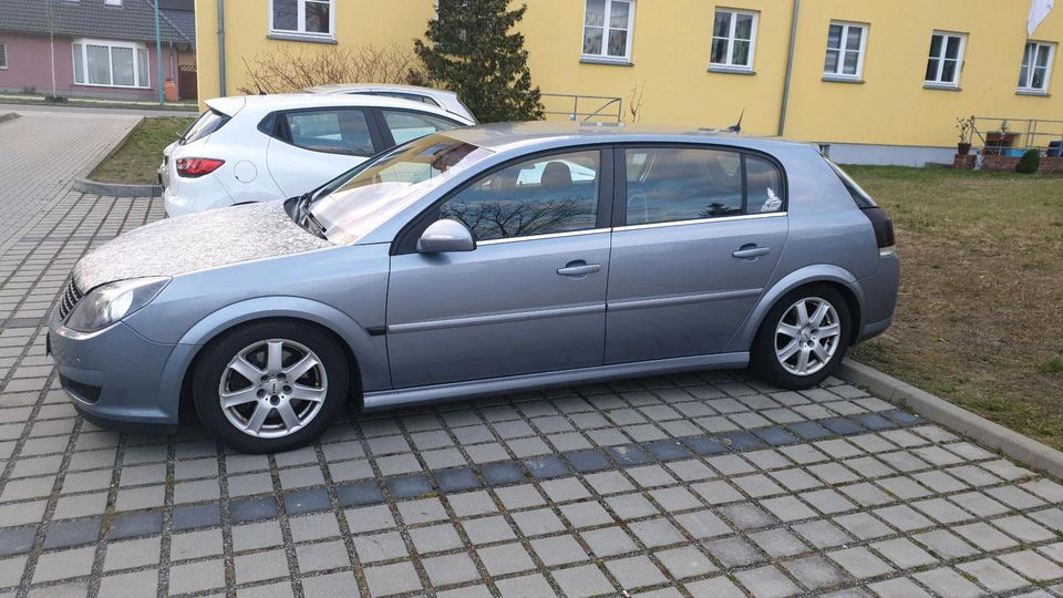 Verkaufe meinen geliebten Opel Signum in Ludwigsfelde