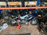 Honda VRT 1000 F Teile Felgen Motor Auspuff Ersatzteile Schleswig-Holstein - Rümpel Vorschau