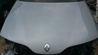 Motorhaube Haube Renault Laguna II G TEB65 B65 Blau Blau-Silber Hessen - Bad Salzschlirf Vorschau