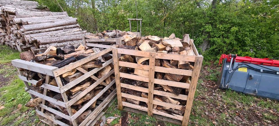 Brennholz Buche Eiche Nadelholz in Bad Salzungen