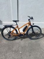 MyBoo Bambus E-Bike My Volta EP6 !NEU! RH52cm Baden-Württemberg - Grenzach-Wyhlen Vorschau