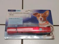 LED HUNDEHALSBAND rot NEU/OVP MINI Rossmann Ideenwelt Hund dog  Baden-Württemberg - Herrenberg Vorschau