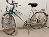 Damen Fahrrad Patria Titane inkl. Frontgepäckträger Köln - Rath-Heumar Vorschau