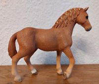 Schleich Quarter Horse Stute Baden-Württemberg - Friedrichshafen Vorschau