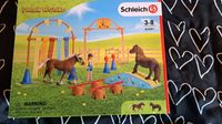 Schleich Agiliti Training 42481 Hessen - Elz Vorschau