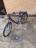 Prophet elektro Fahrrad Niedersachsen - Hildesheim Vorschau