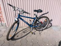 Kreidler Woody Shimando TAQ-33 Mountainbike Fahrrad Bike Hessen - Alsfeld Vorschau