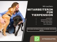 Mitarbeiter/in für Tierpension gesucht (m/w/d) Berlin - Marzahn Vorschau