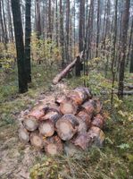 Holz Brennholz Feuerholz Sachsen - Steina Vorschau