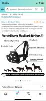 Maulkorb Hund Saarland - Perl Vorschau