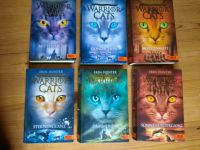 WARRIOR CATS - Staffel 2, Band 1-6 - Erin Hunter Köln - Nippes Vorschau