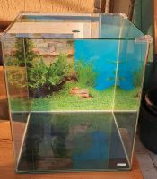 Aquarium Dennerle Nano Cube 60 Liter Nordrhein-Westfalen - Bad Salzuflen Vorschau