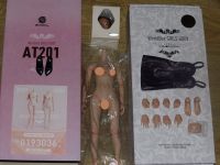 Set 1 Neu Worldbox 1/6 Body AT201 Super Duck SDH006-C no Hot Toys Brandenburg - Forst (Lausitz) Vorschau