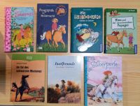 Pony Pferde Bücher Mädchen ab 7/8 Jahre Niedersachsen - Schladen Vorschau