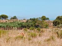 Bebaubares Grundstück mit Meerblick in Marsala Baden-Württemberg - Wangen im Allgäu Vorschau