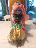 Monster High Barbie Maus Hessen - Espenau Vorschau